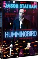 Hummingbird - 