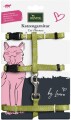 Hunter - By Laura Cat Harness With Line - Lime