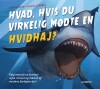 Hvad Hvis Du Virkelig Mødte En Hvidhaj