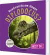 Hvad Ved Du Om Dinoen Diplodocus - 
