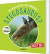 Hvad Ved Du Om Dinoen Stegosaurus - 