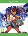 Indivisible - 