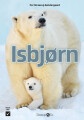 Isbjørn - 