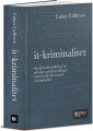 It-Kriminalitet