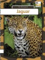 Jaguar - Engelsk - 