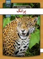Jaguar - Pashto