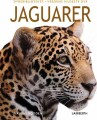 Jaguarer - 