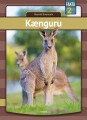 Kænguru - 