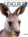 Kænguruer - 