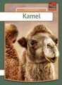 Kamel - 