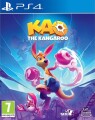 Kao The Kangaroo
