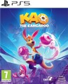 Kao The Kangaroo