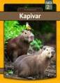 Kapivar