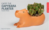 Kikkerland - Urtepotteskjuler - Cappy The Capybara Planter - Stor