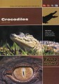 Killer Instinct - Krokodiller