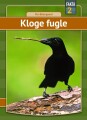 Kloge Fugle - 