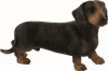 Korthåret Gravhund 3 4X5X7 4Cm - 65441 - Bullyland