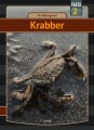 Krabber - 