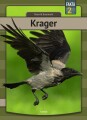 Krager - 