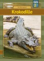 Krokodille - 