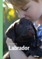 Labrador Grøn Fagklub - 