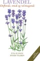 Lavendel - 