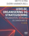 Ledelse Organisering Og Strategisering