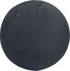 Leitz - Ergo Balance Ball Anti-Roll-Away 55Cm - Dark Grey