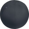 Leitz - Ergo Balance Ball Anti-Roll Away 65Cm - Dark Grey