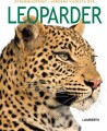 Leoparder - 