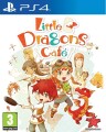 Little Dragons Cafe - 