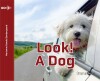Look A Dog