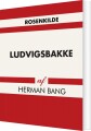 Ludvigsbakke