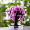 Mad Monkey - Magic Sakura - 135 Cm - Pink