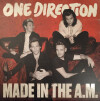 One Direction - Made In The Am