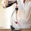 Magic Wine Decanter Deluxe Vin Ilter