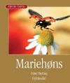 Mariehøns - 