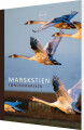 Marskstien - Tøndermarsken