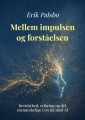 Mellem Impulsen Og Forståelsen