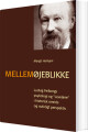 Mellemøjeblikke