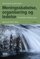 Meningsskabelse Organisering Og Ledelse