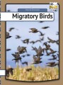 Migratory Birds - 