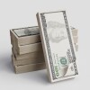 Mustard - Cash Sticky Notes - 3 Inches By 6 Inches
