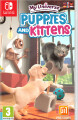 My Universe - Puppies And Kittens Code In A Box - 