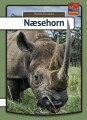 Næsehorn - 