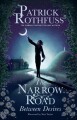 Narrow Road Between Desires A Kingkiller Chronicle Novella