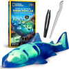 National Geographic - Glow-In-The-Dark Dissection Lab - Shark