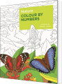 Nature Colour By Numbers