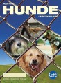 Noget Om Hunde - Blåt Niveau - 5 Stk