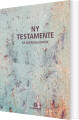 Ny Testamente - På Hverdagsdansk Marmor - 